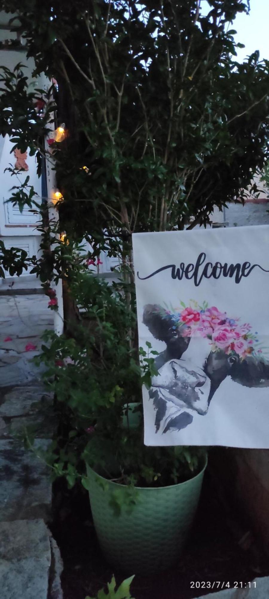 Secret Garden Home Lagonissi Attiki Melissourgoú エクステリア 写真