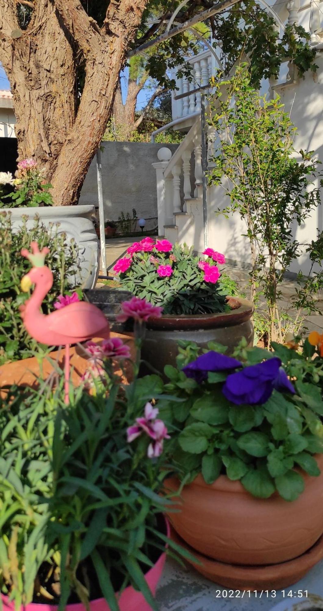 Secret Garden Home Lagonissi Attiki Melissourgoú エクステリア 写真